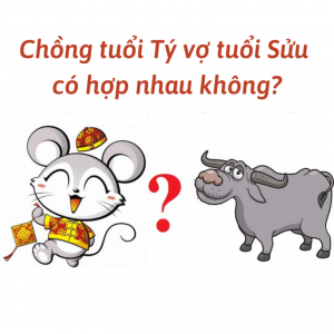 Tý Sửu