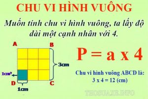 công thức tính chu vi hình vuông