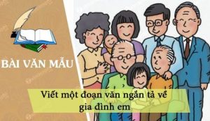  đoạn văn về tình cảm gia đình lớp 6