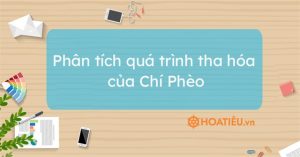 phân tích quá trình tha hóa của chí phèo