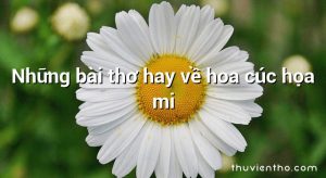 thơ về cúc họa mi